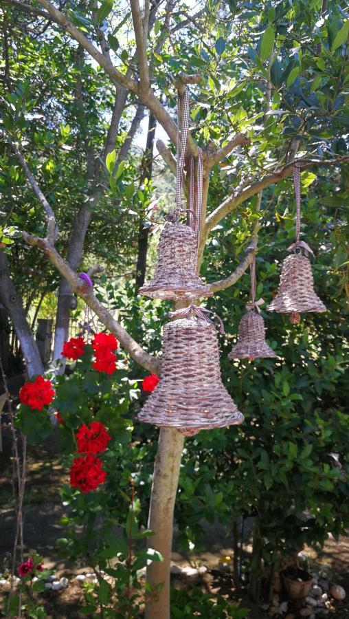 Garden Bungalow Valentina Stavros  Bagian luar foto