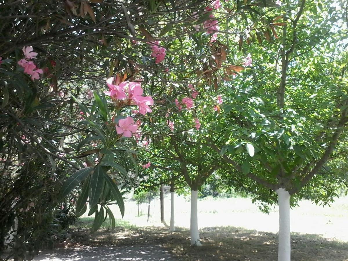 Garden Bungalow Valentina Stavros  Bagian luar foto