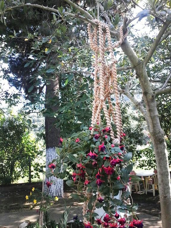 Garden Bungalow Valentina Stavros  Bagian luar foto