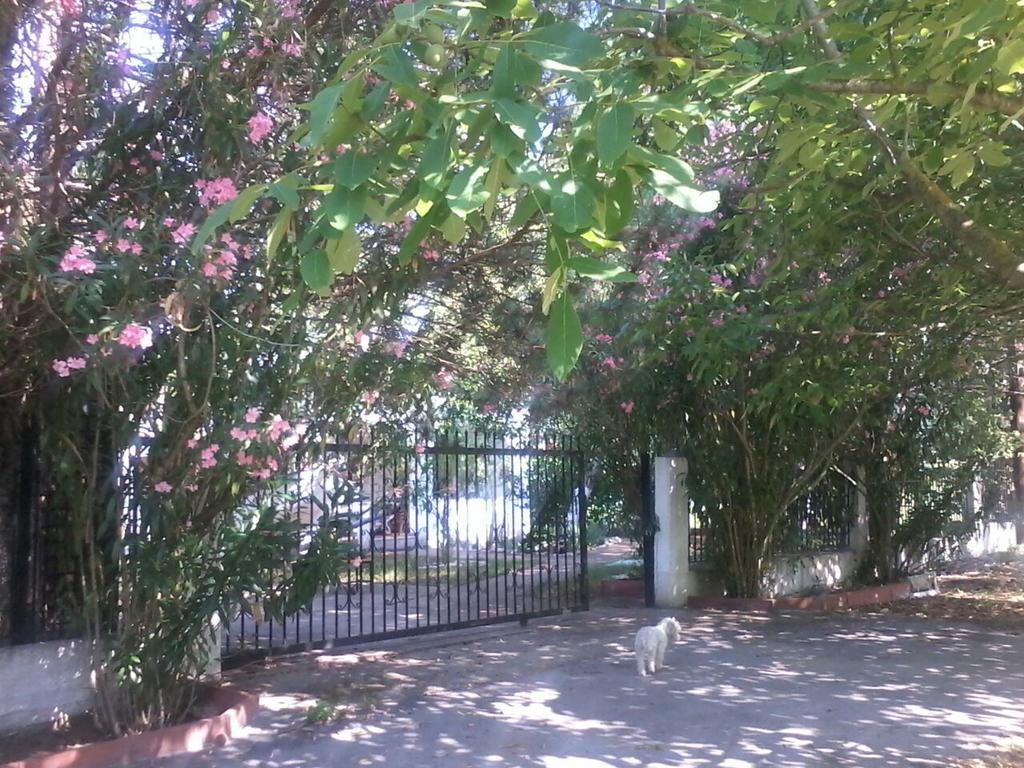 Garden Bungalow Valentina Stavros  Bagian luar foto