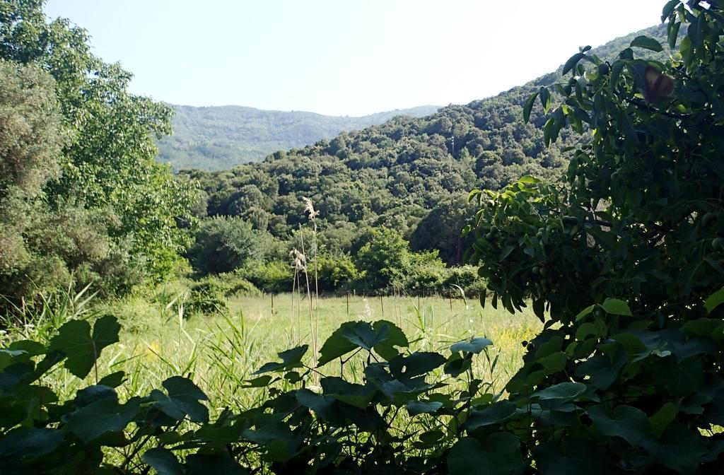 Garden Bungalow Valentina Stavros  Bagian luar foto