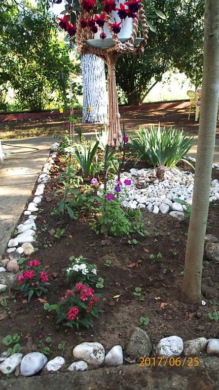 Garden Bungalow Valentina Stavros  Bagian luar foto