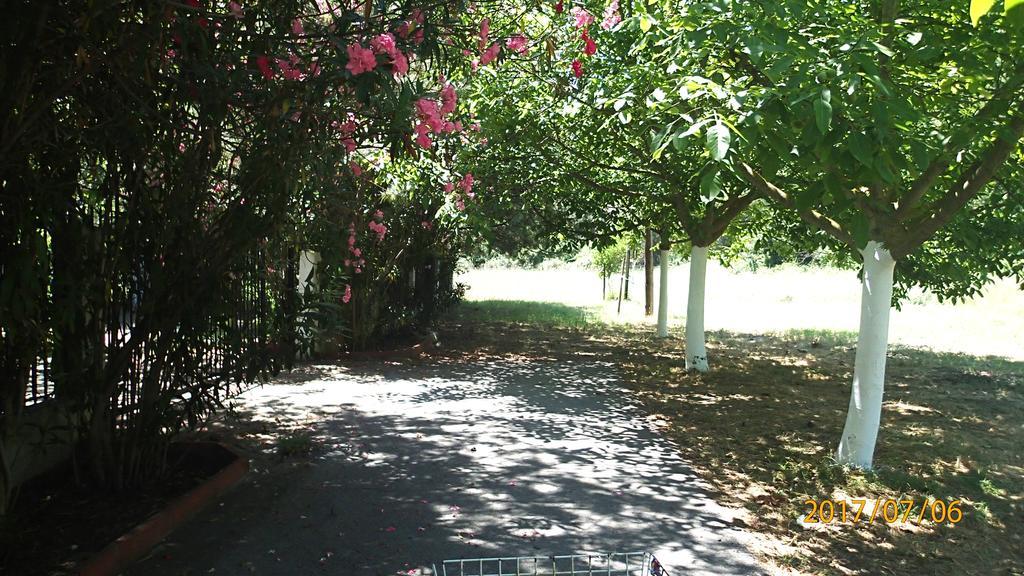 Garden Bungalow Valentina Stavros  Bagian luar foto